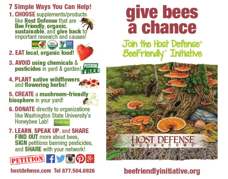 7 Ways to Help Save Bees